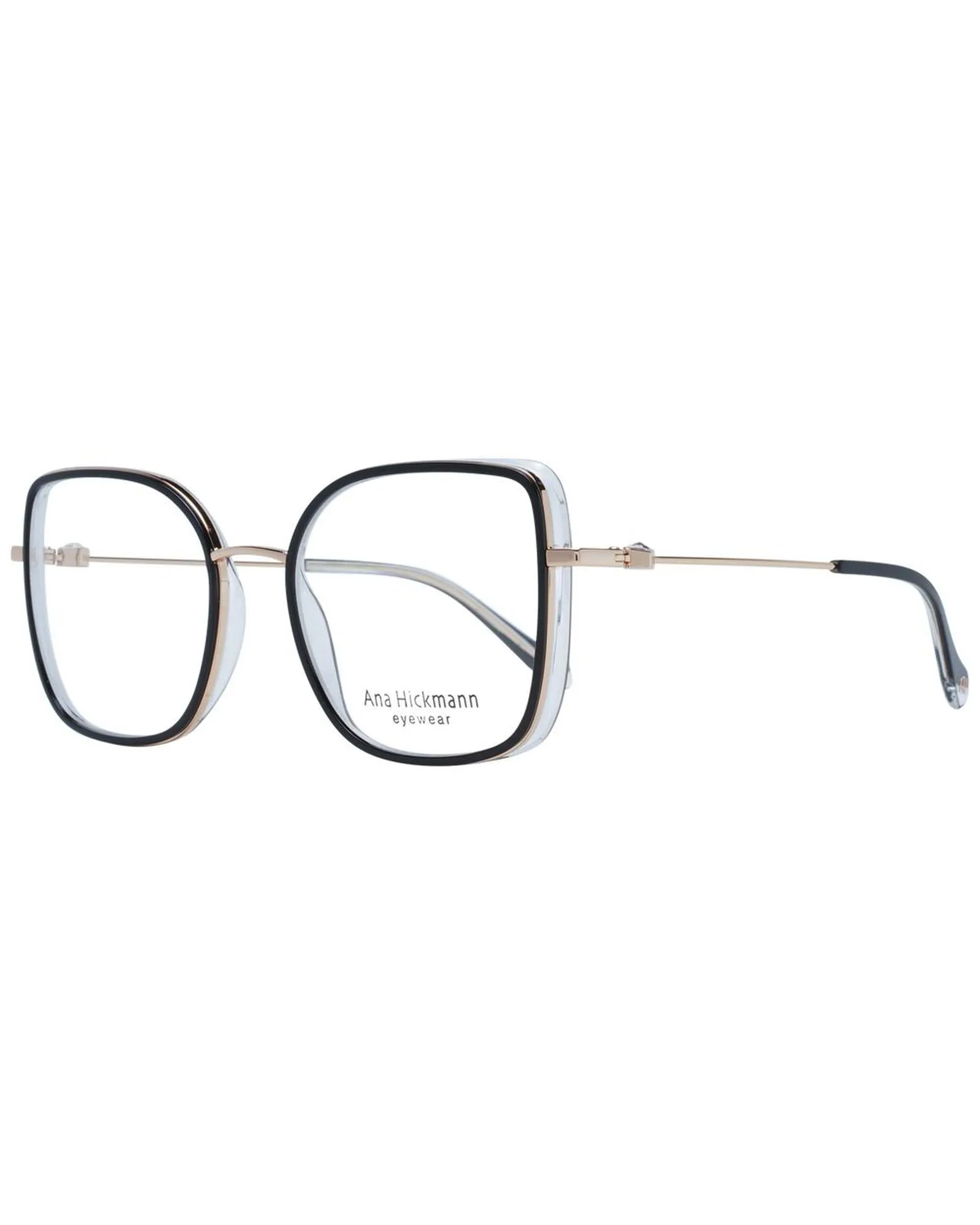 Ana Hickmann AH 3101 Square Eyeglasses